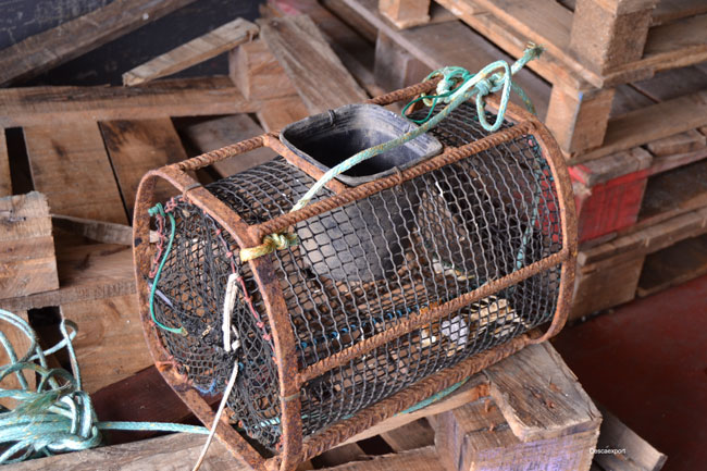 Principales Artes De Pesca - Grupo Descaexport